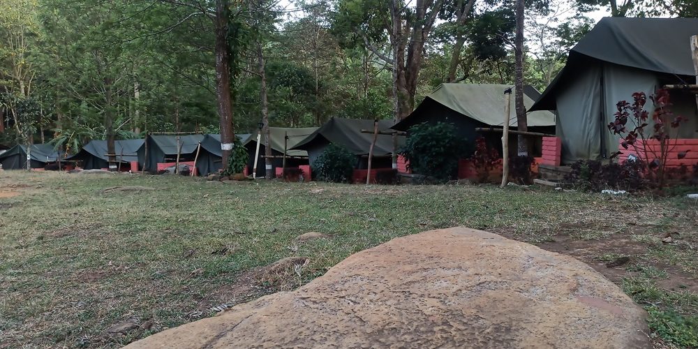 Yercaud-2.jpg